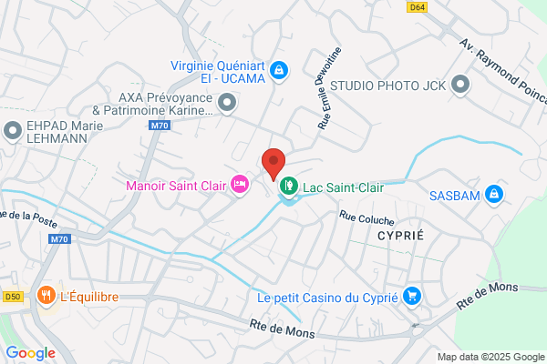 Association des amis de la FIP