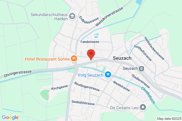 Kantonspolizei Wuelflingen