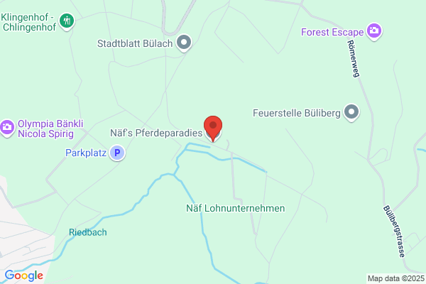 Naef Pferdepension GmbH