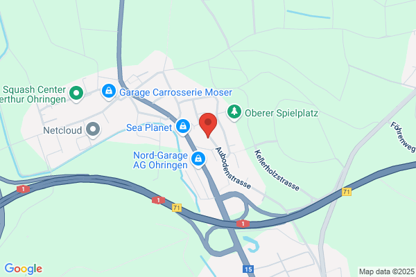 Ruf Informatik AG