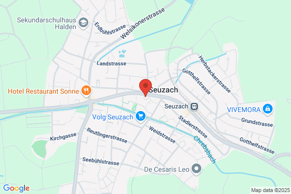 Flying Hairdresser
