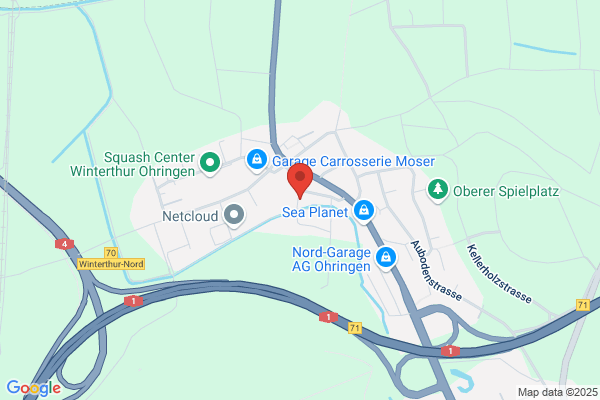 Meteor-Motors AG Ober-Ohringen