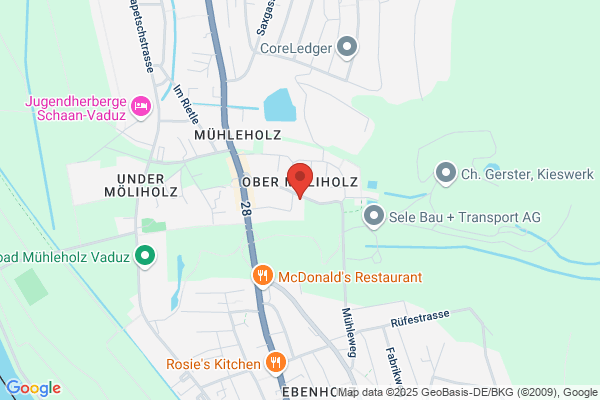 Consista Treuunternehmen reg.
