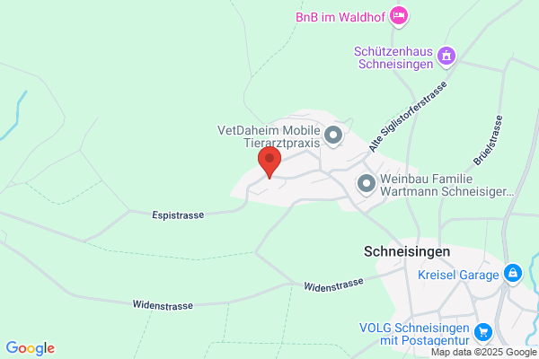 Elektra Genossenschaft