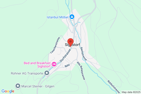 Restaurant Gasthof zum Löwen