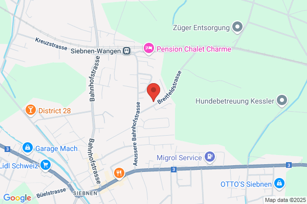 Moser Luthiger und Partner Consulting