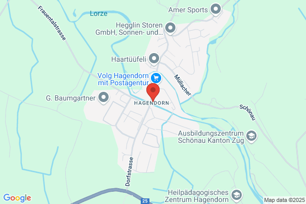 Walter Bucher Hagendorn AG