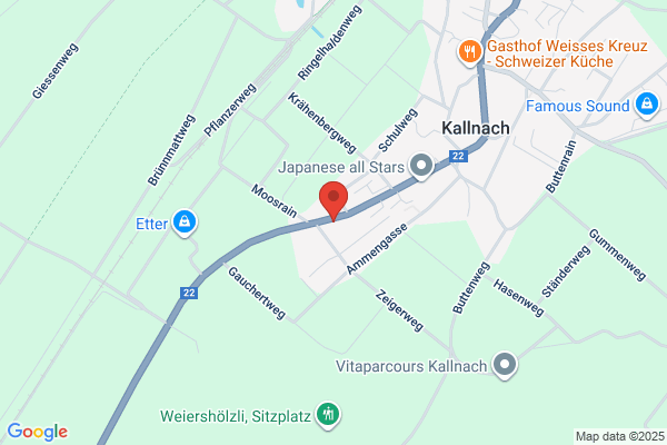 Willy Marti Holzbau AG