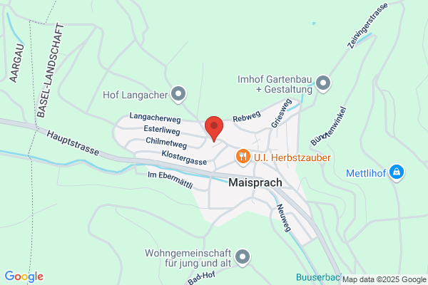 Dr.med. Heinz Rueegg