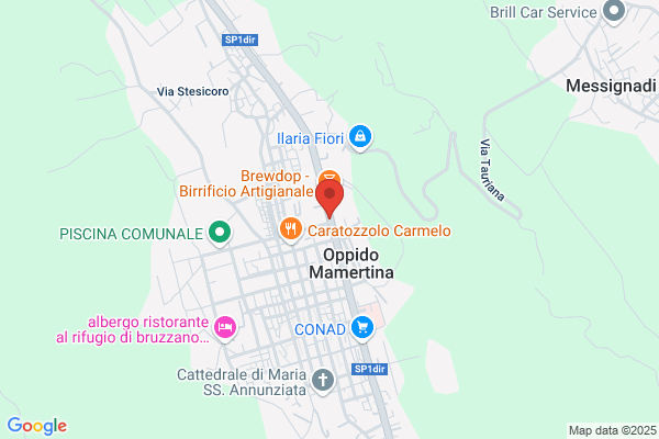 Automeccanica Sprugasci
