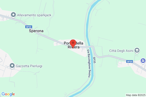 Bar del Ponte
