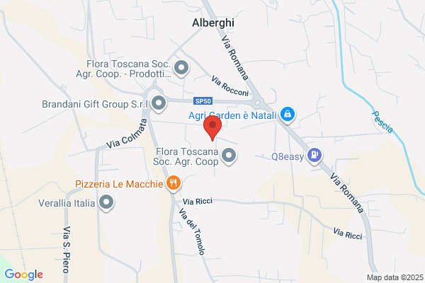 D und C Pescia S. A.