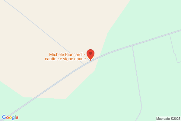 Michele Biancardi SA