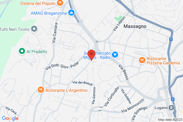 NELCOM CONSULTING SAGL
