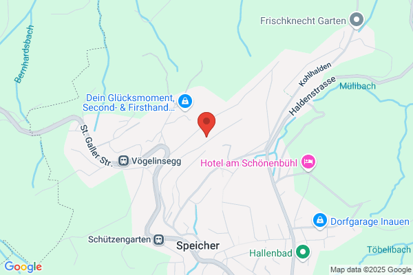 Geser-Treuhand
