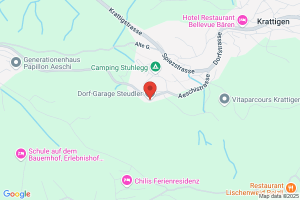 Dorf-Garage Steudler AG
