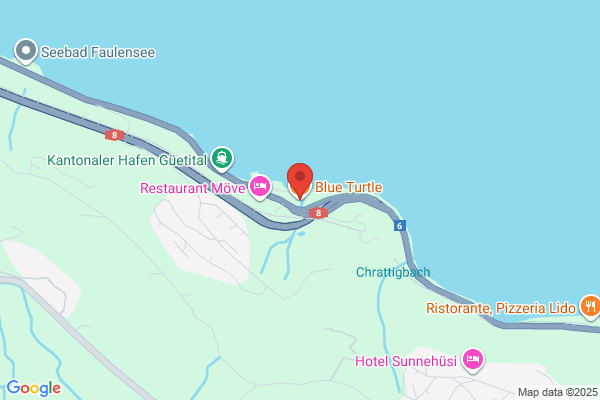 Blue Turtle GmbH