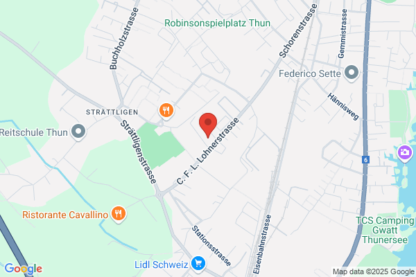 Sanitas Troesch, Service und Reparatur Gwatt (Thun)