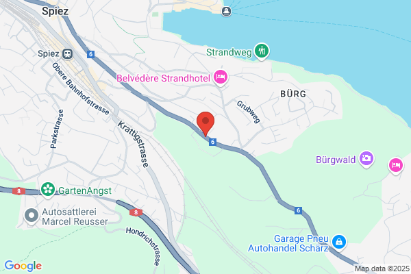 Dres med. Schaerer und Maritz Mosimann