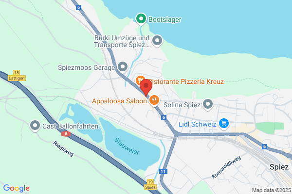 Regionale Gemeinschafts- antennenanlage Spiez AG Regas