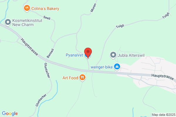 PyanaVet AG