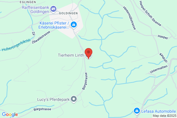 Tierheim Linth