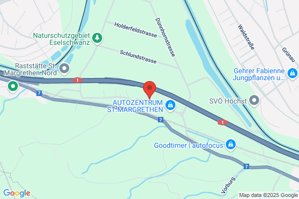Swissinfo, Alcira Schwizer