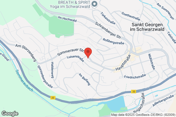 CoSS Computertechnik- und System-Service GmbH