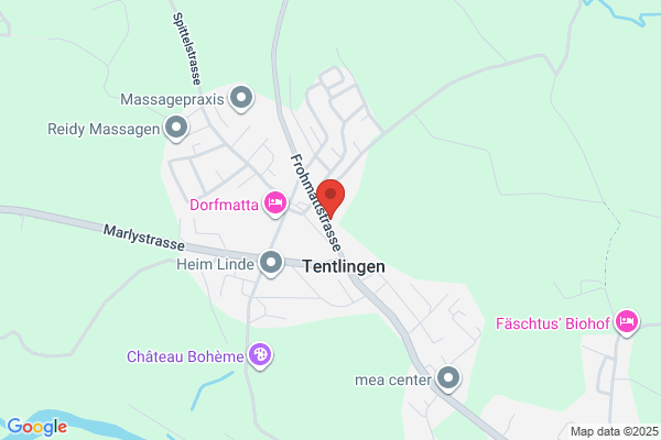 Landi Sense Oberland Tentlingen