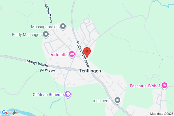 Landi Sense Oberland Tentlingen