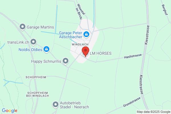 LM HORSES GmbH