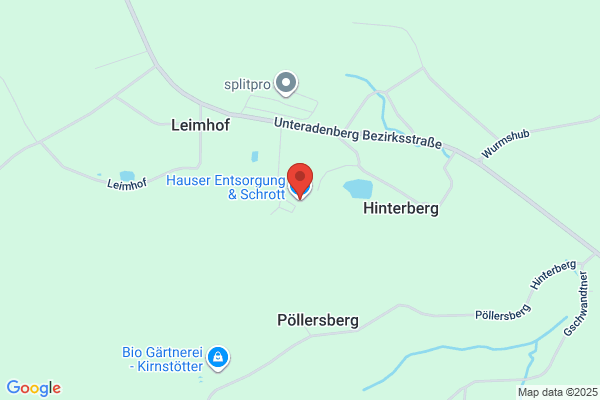 Alfons Hauser