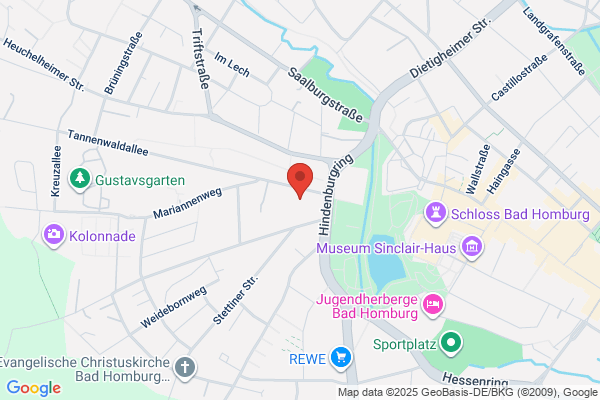 MSU Consulting GmbH