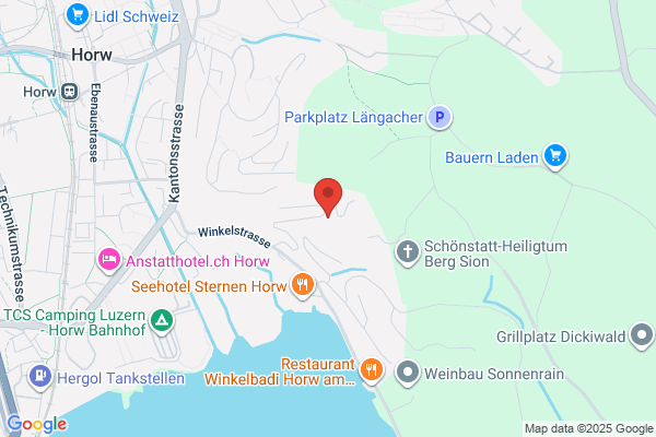 Schaffner Informatik GmbH