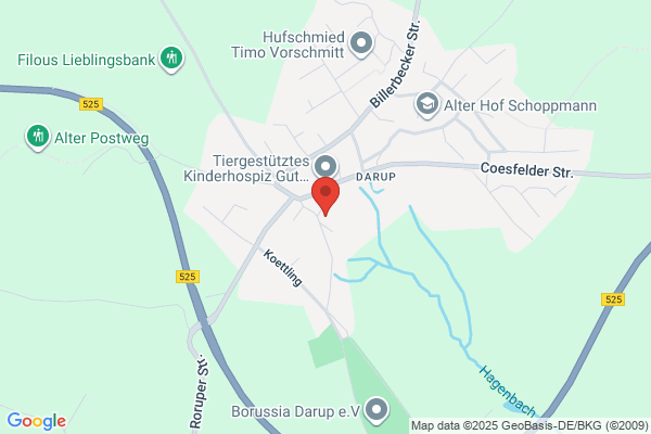 vmm management und consulting