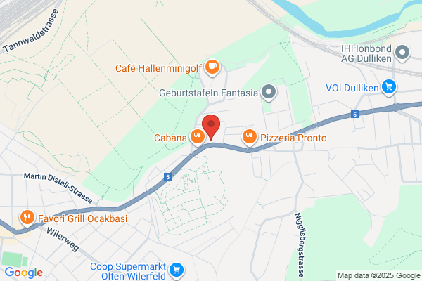 Hagmann Gartenbau AG