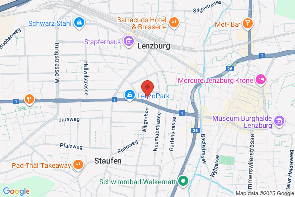 Dynamis Treuhand GmbH