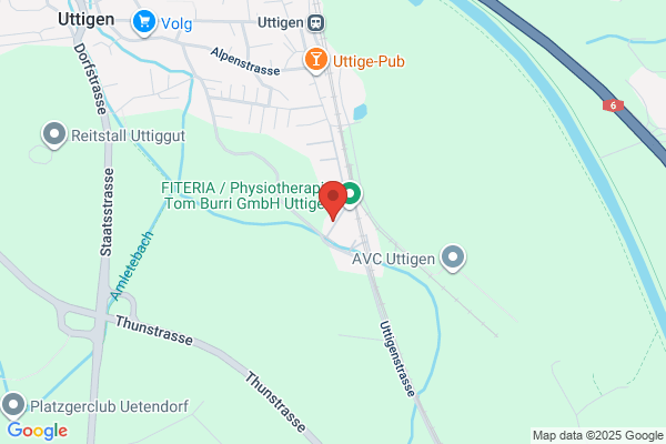 Fritz Senn