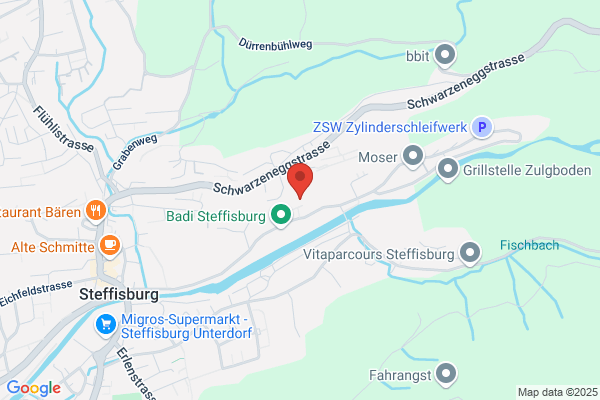 S+S Wirtschafts- pruefungen GmbH
