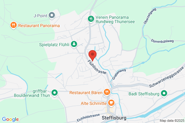 VERBAND SCHWEIZERISCHER VERMESSUNGSFACHLEUTE (VSVF)