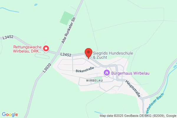 Hundeschule und Zucht Gysel