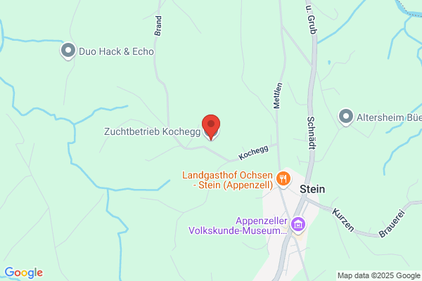 Zuchtbetrieb Kochegg