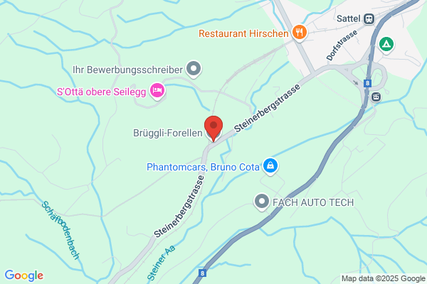 Brueggli-Forellen