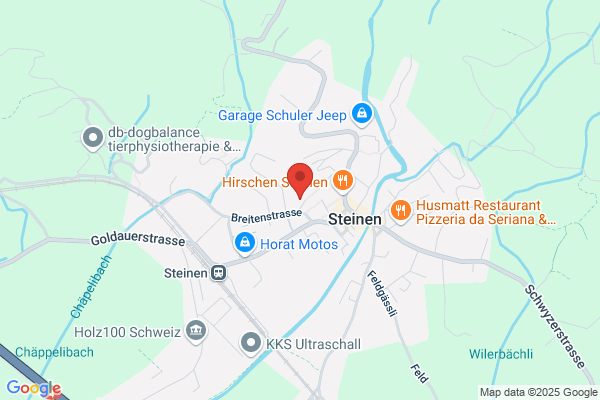 Halti Steinen Schule
