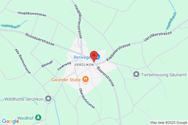 Meili Hansruedi