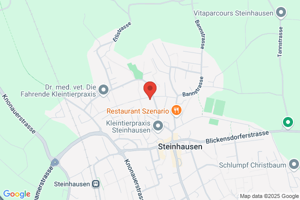 Erwin's Fahrschule