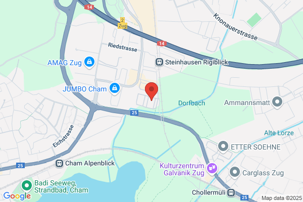 DMS Treuhand und Finanz AG