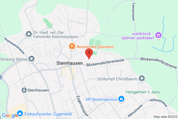 Musikschule der Stadt Zug