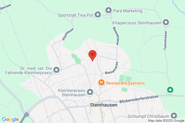 MTI AG Schweiz