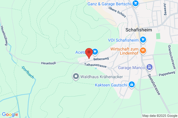 Telser Qualitaetstueren GmbH